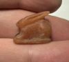 Picture of ANCIENT EGYPT -  BEAUTIFUL  CARNELIAN AMULET OF A HARE . NEW KINGDOM .1250 B.C. 