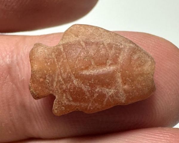Picture of ANCIENT EGYPT. NEW KINGDOM  STONE TILAPIA FISH AMULET. 1400 - 1200 B.C