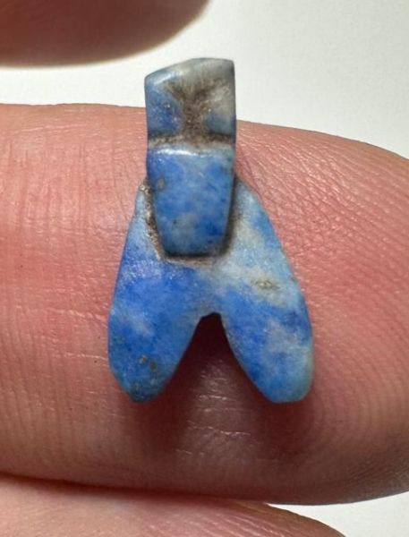 Picture of ANCIENT EGYPT, NEW KINGDOM LAPIS LAZUL FLY AMULET. 1400 B.C