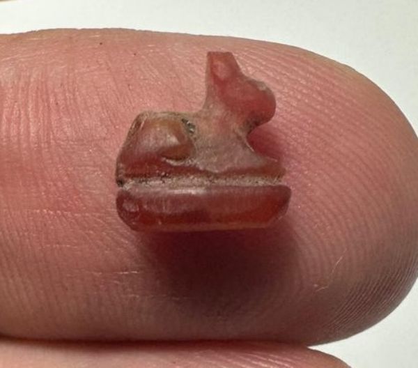 Picture of ANCIENT EGYPT, NEW KINGDOM TINY CARNELIAN STONE CAT AMULET. 1400 B.C
