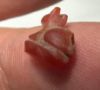 Picture of ANCIENT EGYPT, NEW KINGDOM TINY CARNELIAN STONE CAT AMULET. 1400 B.C