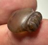 Picture of ANCIENT EGYPT, NEW KINGDOM CARNELIAN HEART AMULET. 1400 - 1200 B.C