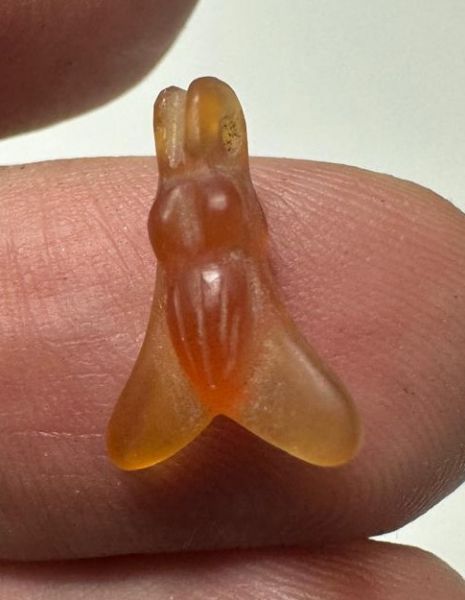 Picture of ANCIENT EGYPT. NEW KINGDOM CARNELIAN STONE FLY AMULET. 1400 B.C