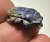 Picture of ANCIENT EGYPT.  NEW KINGDOM LAPIS LAZULI STONE BUTTON SCARAB. 1250 B.C