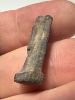 Picture of ANCIENT EGYPT, NEW KINGDOM STONE AMULET OF HORUS .  1400 - 1100 B.C
