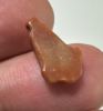 Picture of ANCIENT EGYPT. NEW KINGDOM CARNELIAN LOTUS FLOWER. 1250 B.C