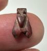 Picture of ANCIENT EGYPT. NEW KINGDOM RED JASPER FLY AMULET. 1400 B.C