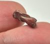 Picture of ANCIENT EGYPT. NEW KINGDOM RED JASPER FLY AMULET. 1400 B.C