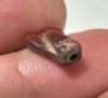 Picture of ANCIENT EGYPT. NEW KINGDOM RED JASPER FLY AMULET. 1400 B.C