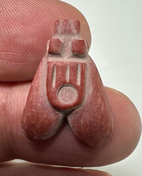 Picture of ANCIENT EGYPT. NEW KINGDOM RED JASPER FLY AMULET. 1400 B.C