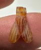 Picture of ANCIENT EGYPT. NEW KINGDOM CARNELIAN STONE FLY AMULET. 1400 B.C