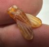 Picture of ANCIENT EGYPT. NEW KINGDOM CARNELIAN STONE FLY AMULET. 1400 B.C