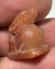 Picture of ANCIENT EGYPT -  BEAUTIFUL  CARNELIAN AMULET OF A HARE . NEW KINGDOM .1250 B.C. 