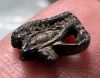 Picture of ANCIENT EGYPT. NEW KINGDOM SILVER EYE OF HORUS AMULET . 1250 B.C 