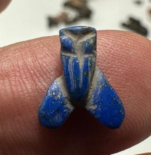 Picture of ANCIENT EGYPT, NEW KINGDOM LAPIS LAZUL FLY AMULET. 1400 B.C