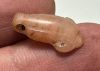Picture of ANCIENT EGYPT. NEW KINGDOM CARNELIAN LOTUS FLOWER. 1250 B.C