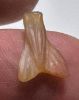 Picture of ANCIENT EGYPT. NEW KINGDOM CARNELIAN STONE FLY AMULET. 1400 B.C