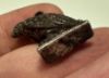 Picture of ANCIENT EGYPT , NEW KINGDOM ELECTRUM / SILVER VULTURE AMULET.  1250 B.C
