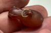 Picture of ANCIENT EGYPT. CARNELIAN HIPPOPOTAMUS WITH THE ORIGINAL ANCIENT GOLD RING ATTACHED. 1250 B.C. NEW KINGDOM