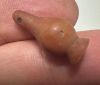 Picture of   ANCIENT EGYPT. LARGE CARNELIAN POPPY SEED AMULET. 1250 B.C  NEW KINGDOM