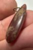 Picture of  ANCIENT EGYPT. NEW KINGDOM TEAR DROP CARNELIAN AMULET / BEAD WITH ORIGINAL GOLD SUSPENSION LOOP . 1400 - 1200 B.C  NEW KINGDOM