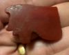 Picture of ANCIENT EGYPT , NEW KINGDOM CARNELIAN EYE OF HORUS. 1400 B.C