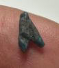 Picture of ANCIENT EGYPT, AMARNA FAIENCE FLY AMULET . 1334 – 1325 BC .     1334 – 1325 BC . TIME OF KING TUTANKHAMUN