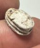 Picture of ANCIENT EGYPT.  SECOND INTERMEDIATE PERIOD STEATITE  STONE SCARAB. 1750 - 1550 B.C 