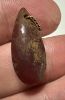 Picture of  ANCIENT EGYPT. NEW KINGDOM TEAR DROP CARNELIAN AMULET / BEAD WITH ORIGINAL GOLD SUSPENSION LOOP . 1400 - 1200 B.C  NEW KINGDOM