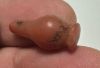 Picture of   ANCIENT EGYPT. LARGE CARNELIAN POPPY SEED AMULET. 1250 B.C  NEW KINGDOM