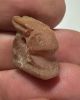 Picture of ANCIENT EGYPT -  BEAUTIFUL  CARNELIAN AMULET OF A HARE . NEW KINGDOM .1250 B.C. 