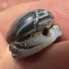 Picture of ANCIENT EGYPT, NEW KINGDOM BANDED AGATE STONE SCARAB. BES. 1400 - 1200 B.C