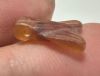Picture of ANCIENT EGYPT, NEW KINGDOM CARNELIAN STONE FLY AMULET. 1400 B.C