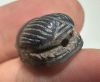 Picture of ANCIENT EGYPT, NEW KINGDOM BANDED AGATE STONE SCARAB. HATHOR. 1400 - 1200 B.C