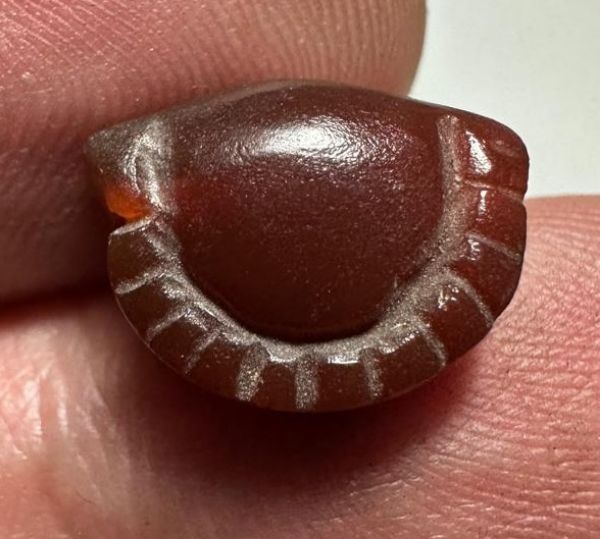 Picture of ANCIENT EGYPT. CARNELIAN SEA SHELL AMULET. 1250 B.C  NEW KINGDOM