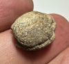 Picture of ANCIENT EGYPT, NEW KINGDOM STEATITE STONE SCARAB  1400 - 1200 B.C