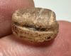 Picture of ANCIENT EGYPT, NEW KINGDOM ROCK CRYSTAL STONE SCARAB  1400 - 1200 B.C