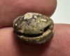 Picture of ANCIENT EGYPT, NEW KINGDOM FAIENCE SCARAB  1400 - 1200 B.C