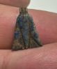 Picture of  ANCIENT EGYPT. NEW KINGDOM LAPIS LAZULI LOTUS FLOWER. 1250 B.C
