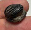 Picture of ANCIENT EGYPT, NEW KINGDOM BANDED AGATE STONE SCARAB.  1400 - 1200 B.C.  KING'S THUTMOSES III'S NAME