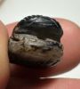 Picture of ANCIENT EGYPT, NEW KINGDOM BANDED AGATE STONE SCARAB.  1400 - 1200 B.C.  KING'S THUTMOSES III'S NAME