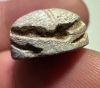 Picture of ANCIENT EGYPT, NEW KINGDOM STEATITE STONE SCARAB  1400 - 1200 B.C