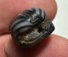 Picture of ANCIENT EGYPT, NEW KINGDOM BANDED AGATE STONE SCARAB.  1400 - 1200 B.C.
