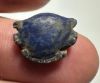 Picture of ANCIENT EGYPT. LAPIS LAZULI SEA SHELL AMULET. 1250 B.C  NEW KINGDOM
