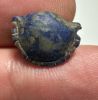 Picture of ANCIENT EGYPT. LAPIS LAZULI SEA SHELL AMULET. 1250 B.C  NEW KINGDOM