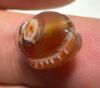 Picture of ANCIENT EGYPT. CARNELIAN SEA SHELL AMULET. 1250 B.C  NEW KINGDOM