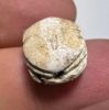 Picture of ANCIENT EGYPT.  SECOND INTERMEDIATE PERIOD STEATITE  STONE SCARAB. 1750 - 1550 B.C 