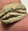 Picture of ANCIENT EGYPT, NEW KINGDOM STEATITE STONE SCARAB.  1400 - 1200 B.C.