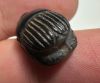 Picture of ANCIENT EGYPT, NEW KINGDOM BANDED AGATE STONE SCARAB.  1400 - 1200 B.C.  QUEEN HATSHEPSUT'S NAME