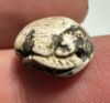 Picture of ANCIENT EGYPT, NEW KINGDOM STEATITE STONE SCARAB.  1400 - 1200 B.C.